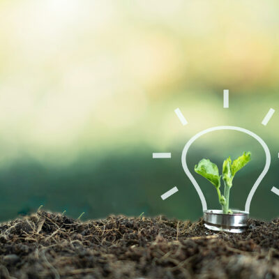 A small tree born on a light bulb with icons light bulb for renewable, sustainable development over blurred green nature background.  environment concept.Ecology concept.